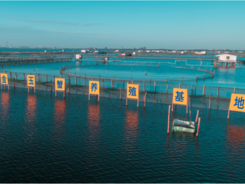 大闸蟹培育水质管理