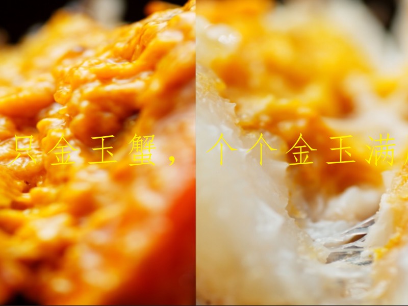 寒露叶斑斓，捕蟹正当时！