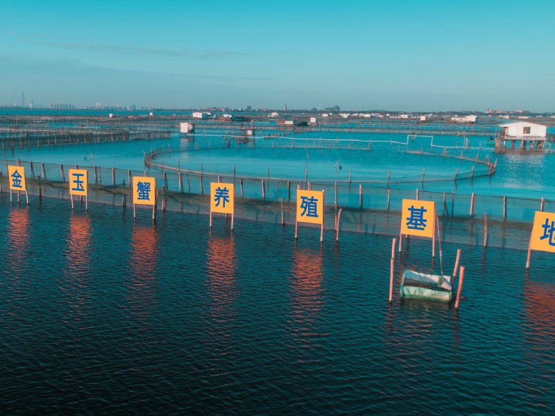 建军节丨金玉蟹向可爱的人致敬！