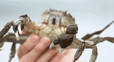 1665565156116333.gif 03.gif