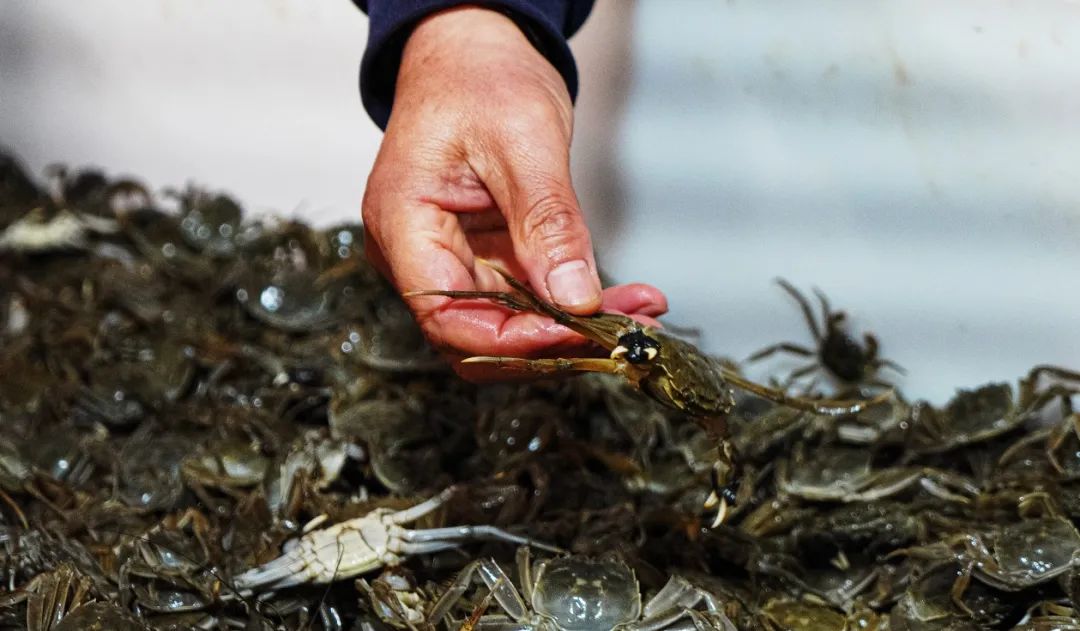 1690619922619412.jpeg 640.jpeg