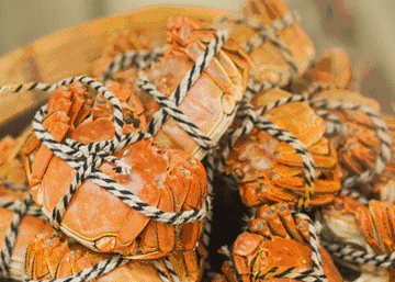 1690620062304083.gif 640.gif