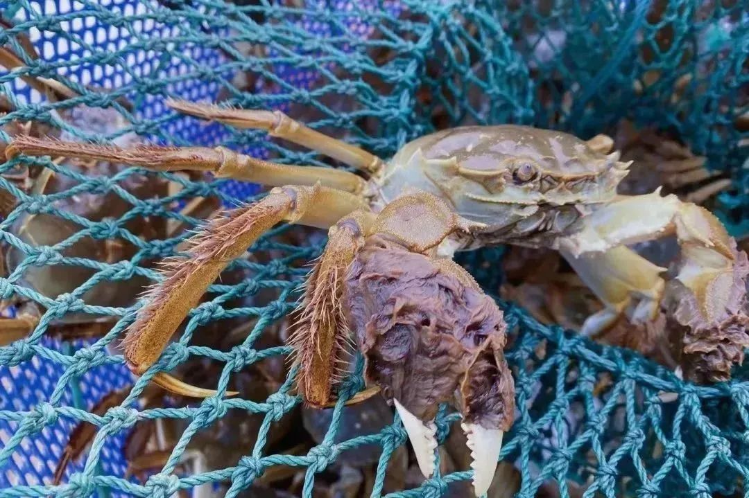 1690625625847735.jpg 640.jpg